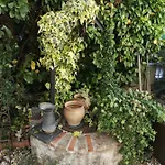 Studio Mas Provencal 10 Min Plage A Pied Jardin Calme & Centre Apartment Cannes