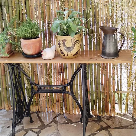 Apartment Studio Mas Provencal 10 Min Plage A Pied Jardin Calme & Centre Cannes