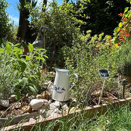 Appartement Mas Provençal à Pied Jardin Calme&centre Cannes