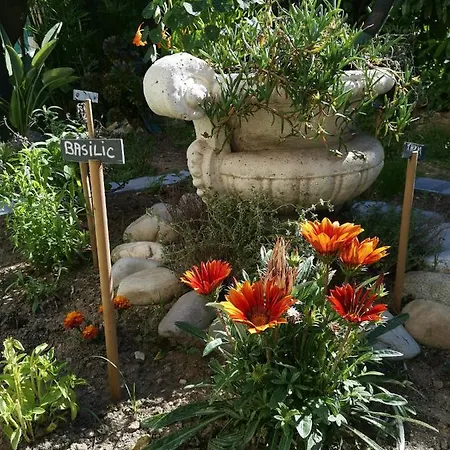 Provencal De Avec Jardin Proche Et Centre